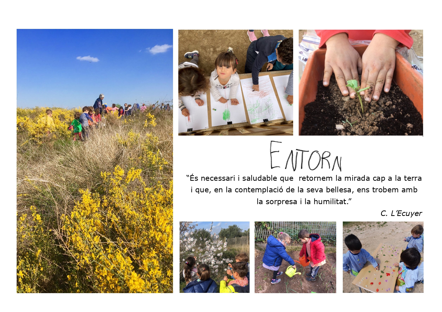 CARTELLS FOTOS_page-0006