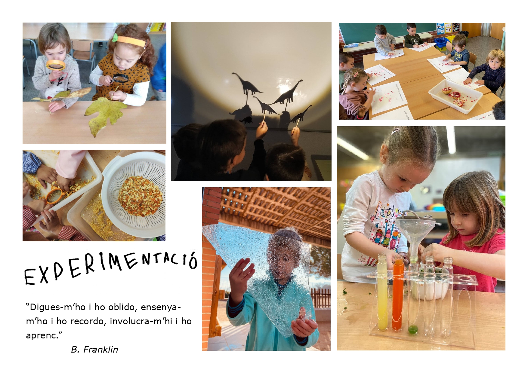 CARTELLS FOTOS_page-0011