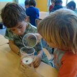 fem fòssils 008 (10)