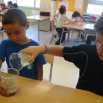 fem fòssils 008 (11)