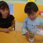 fem fòssils 008 (12)