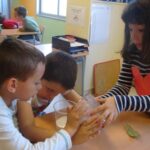 fem fòssils 008 (3)