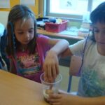 fem fòssils 008 (4)