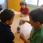 fem fòssils 008 (6)