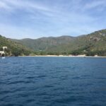 807e4f4fceab05d5ef91c47267d9119f