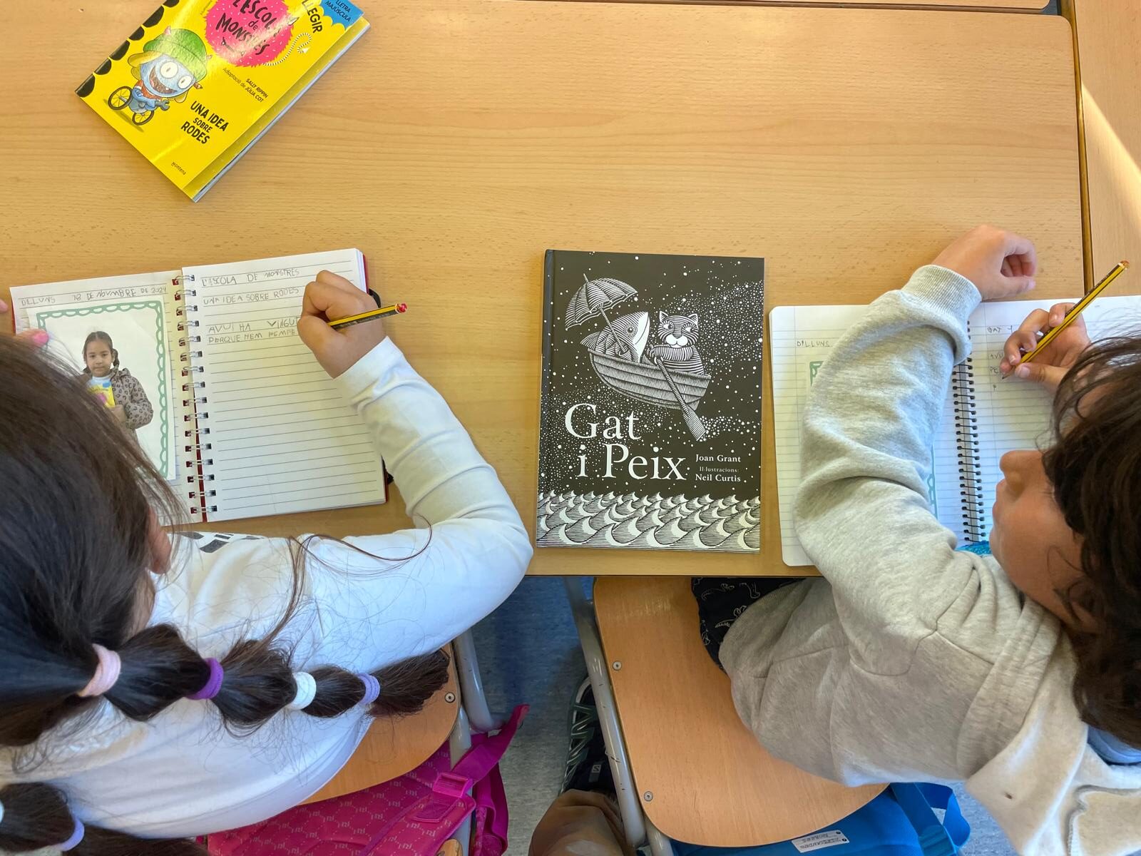 WhatsApp Image 2024-11-18 at 17.12.09