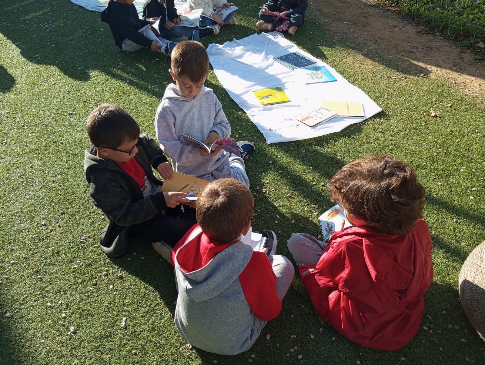 WhatsApp Image 2024-11-18 at 17.12.12