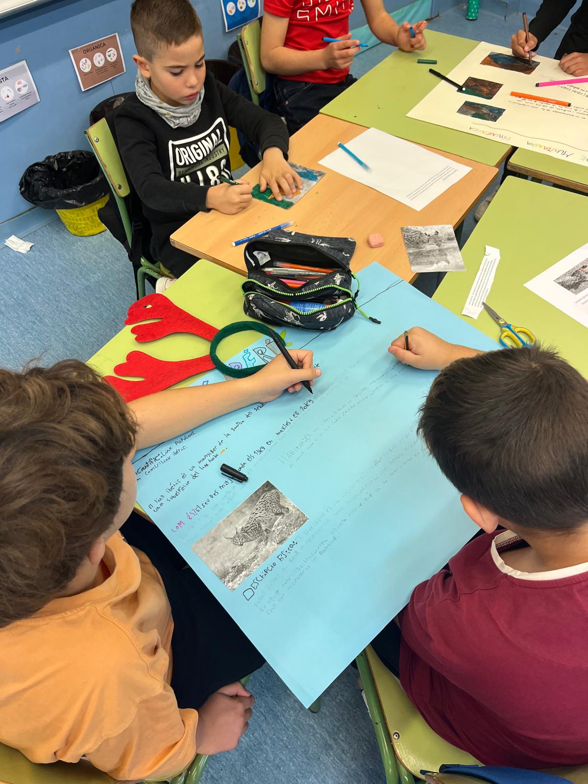 WhatsApp Image 2024-12-19 at 18.03.41 (2)