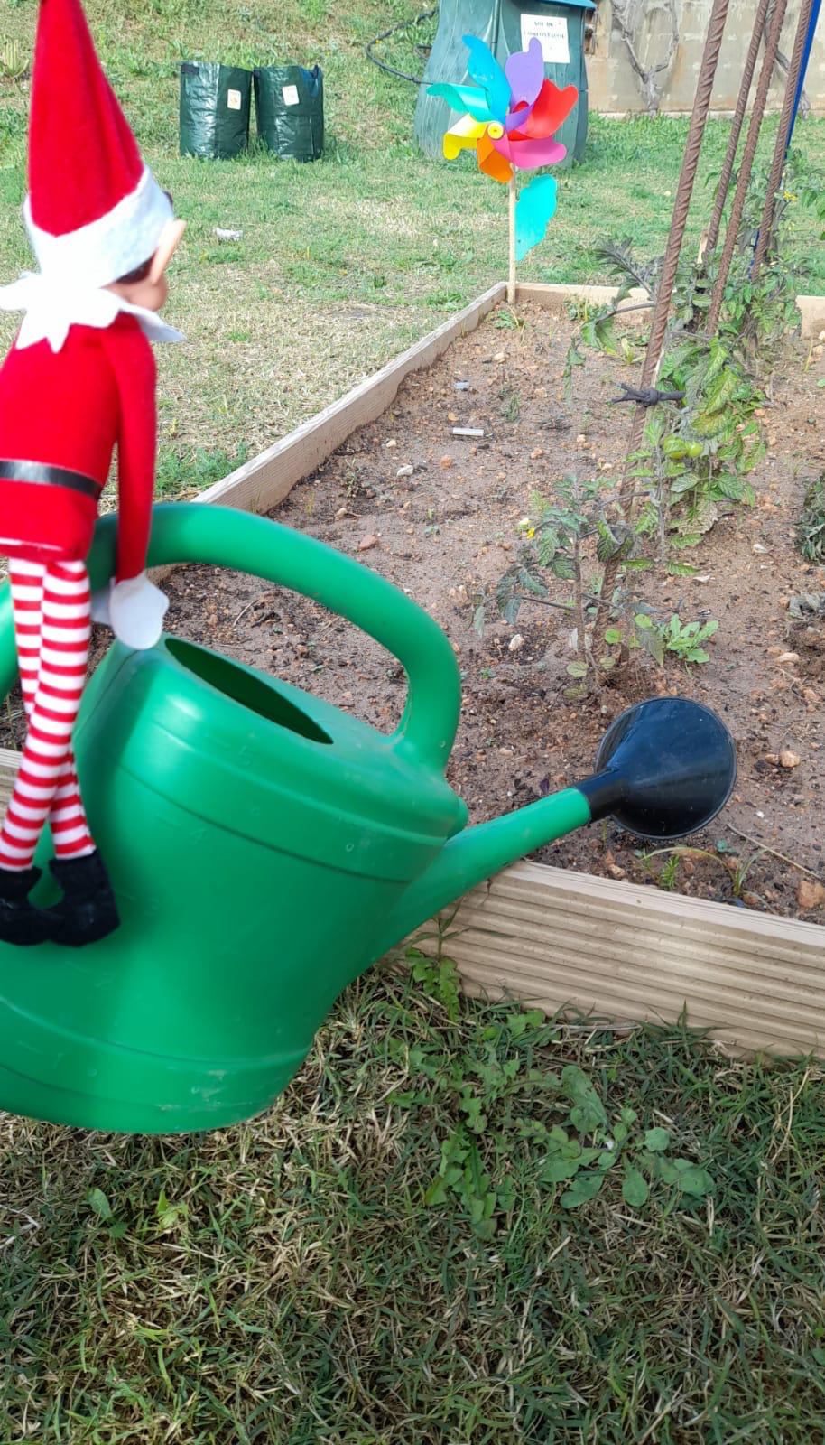 WhatsApp Image 2025-01-09 at 13.48.22 (4)