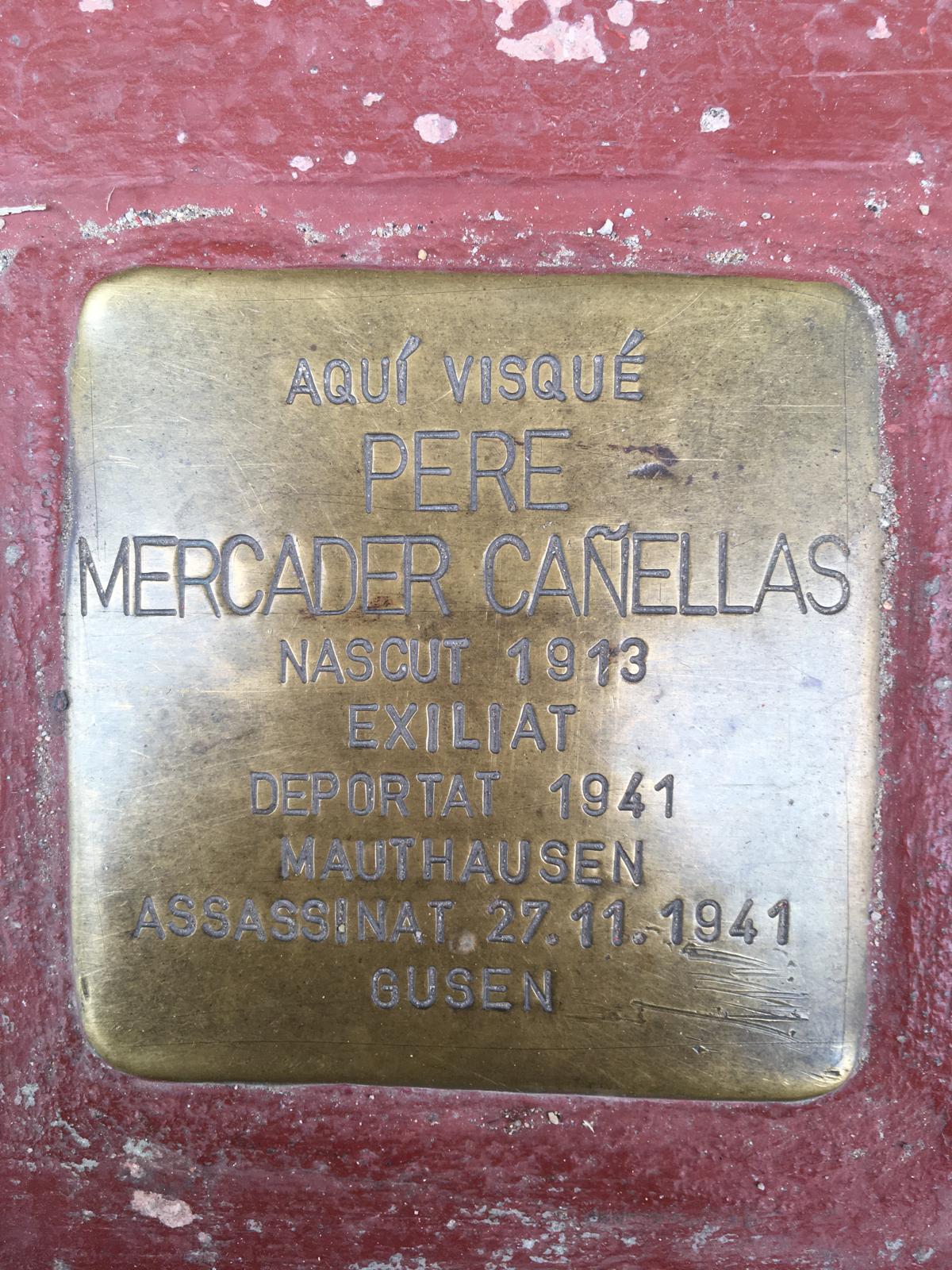 WhatsApp Image 2025-01-30 at 14.17.39