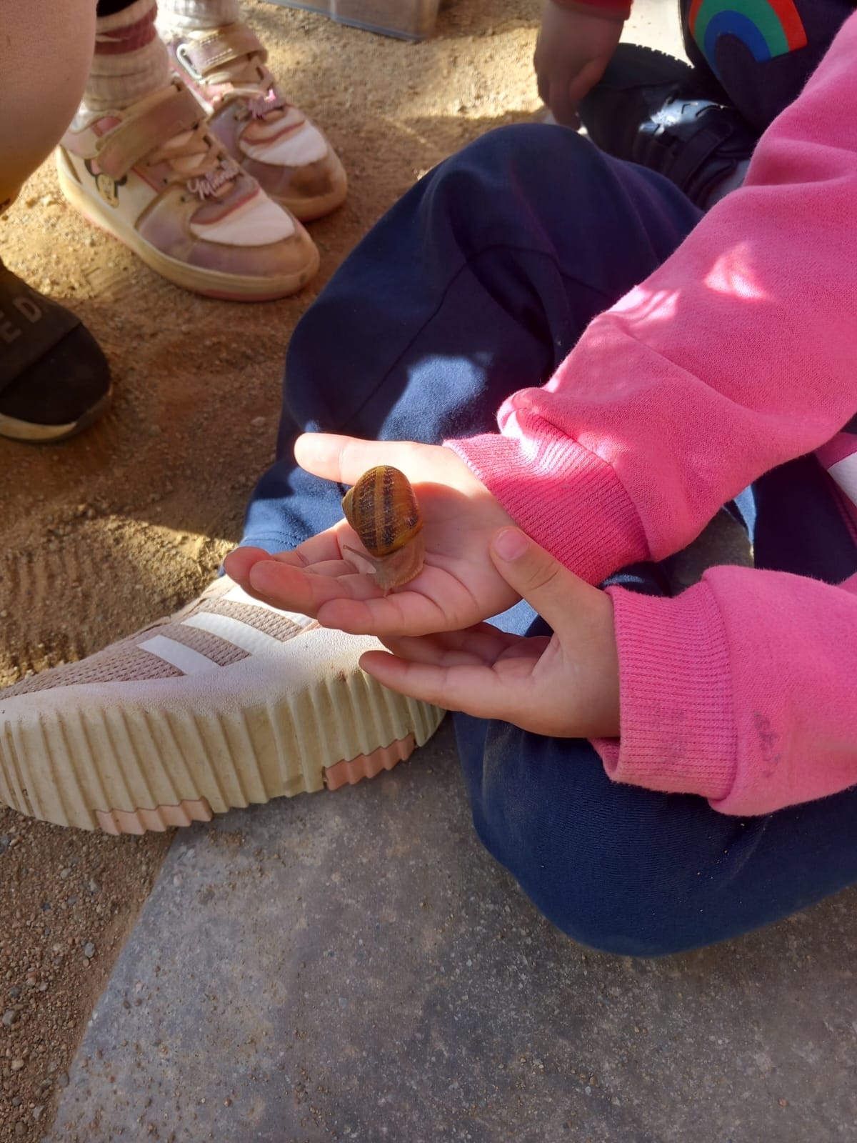 WhatsApp Image 2025-03-12 at 13.50.04 (2)