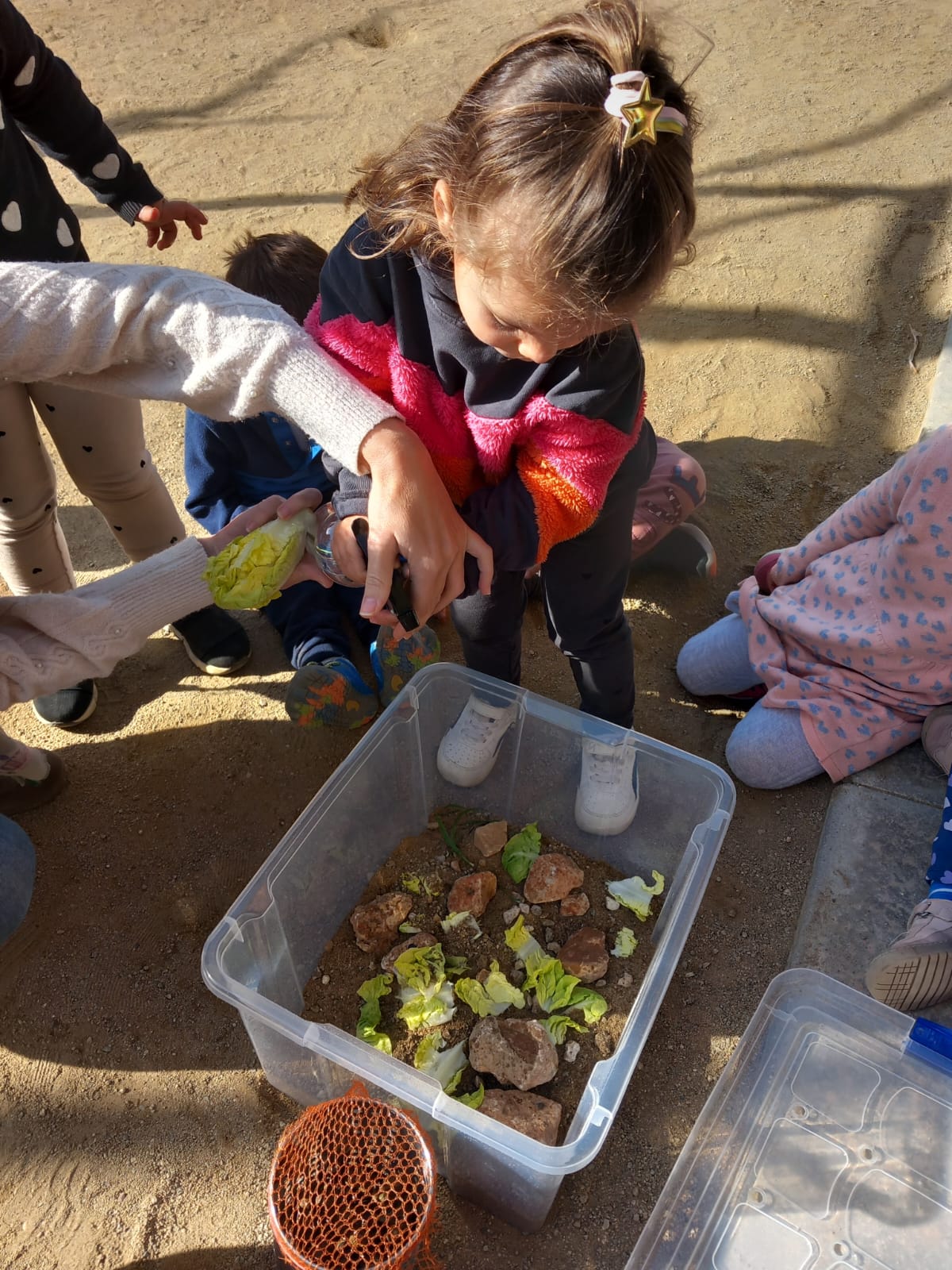 WhatsApp Image 2025-03-12 at 13.50.04