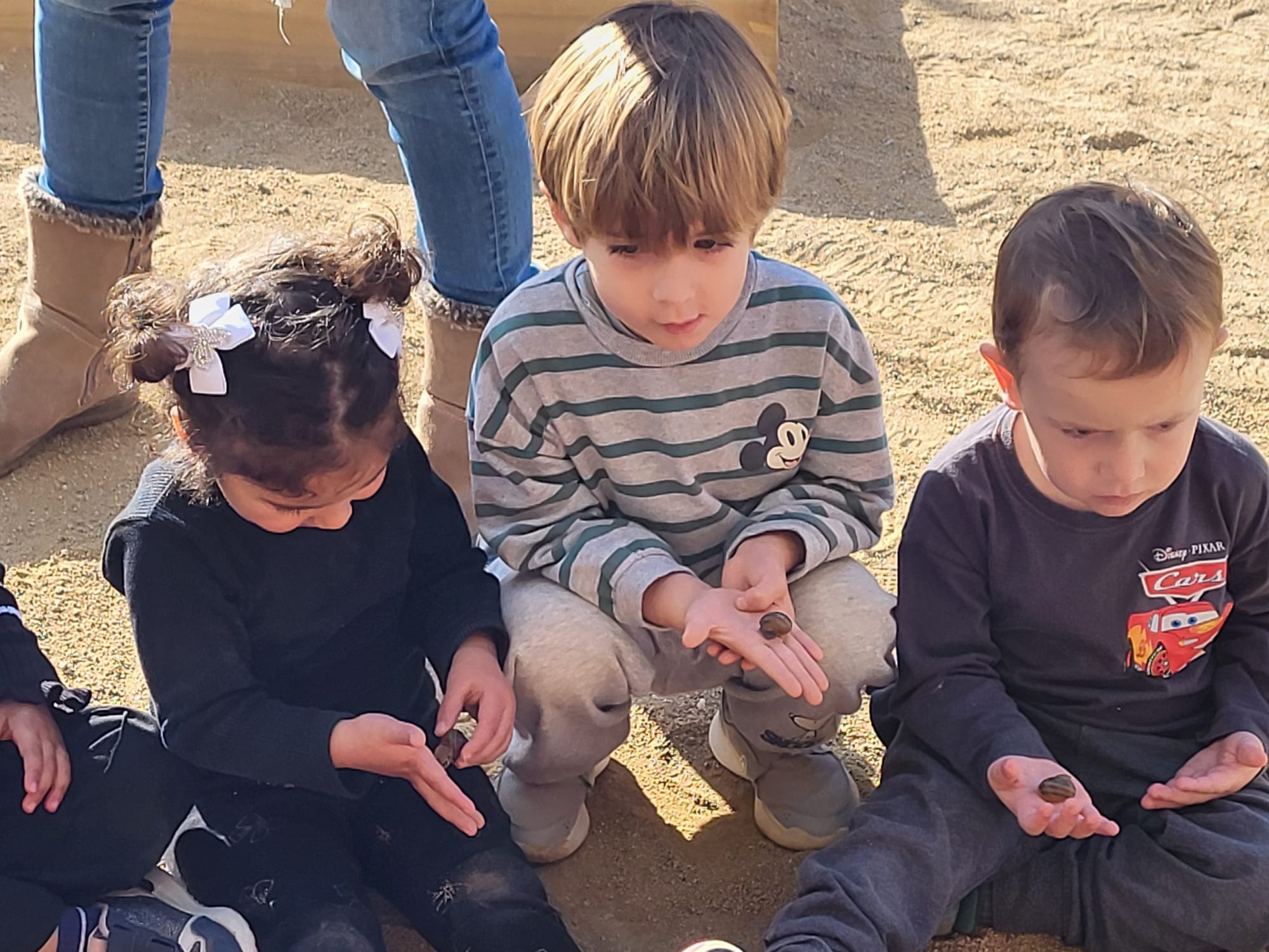 WhatsApp Image 2025-03-12 at 13.50.51 (1)