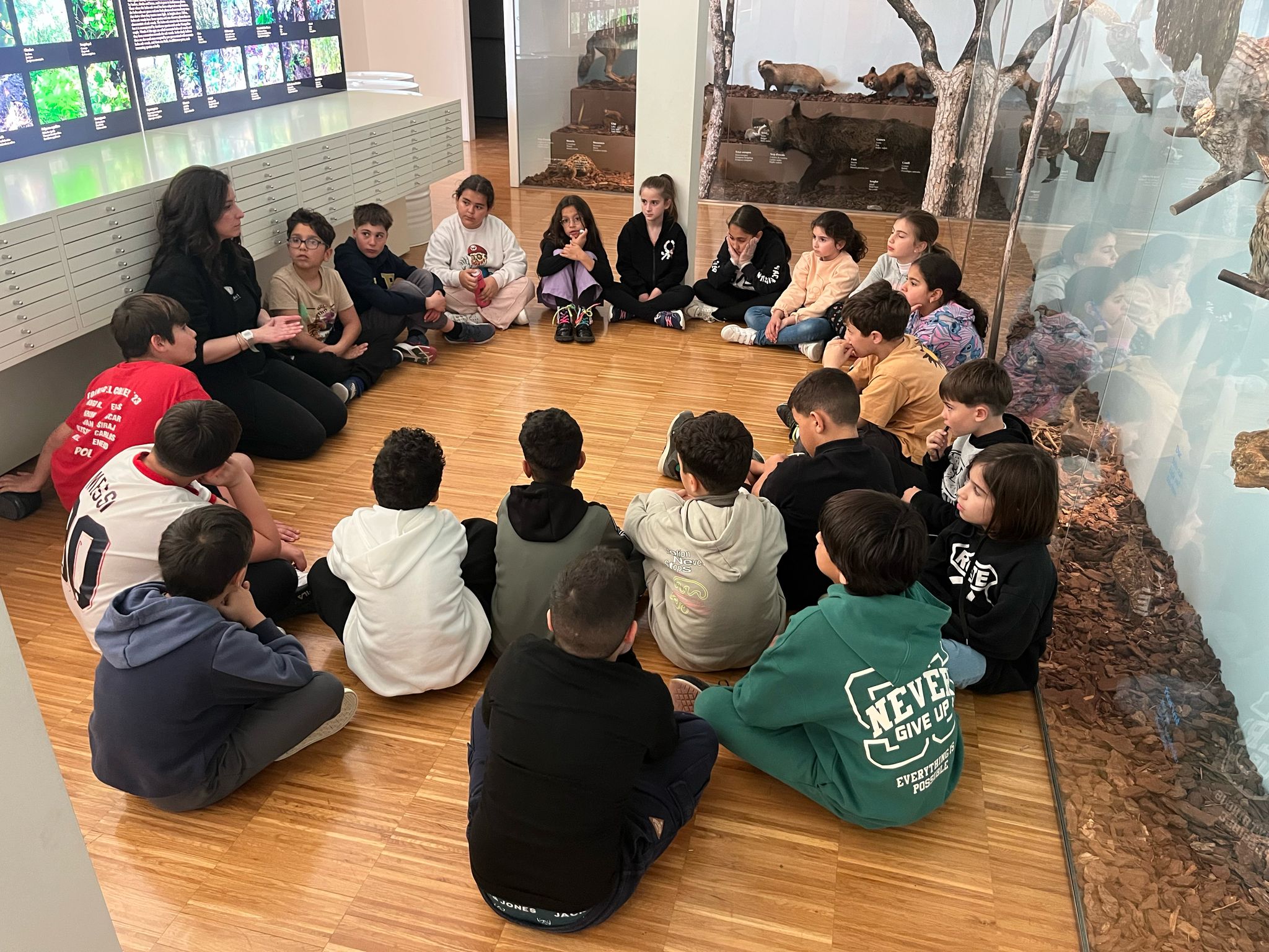 WhatsApp Image 2025-04-04 at 15.36.50 (1)