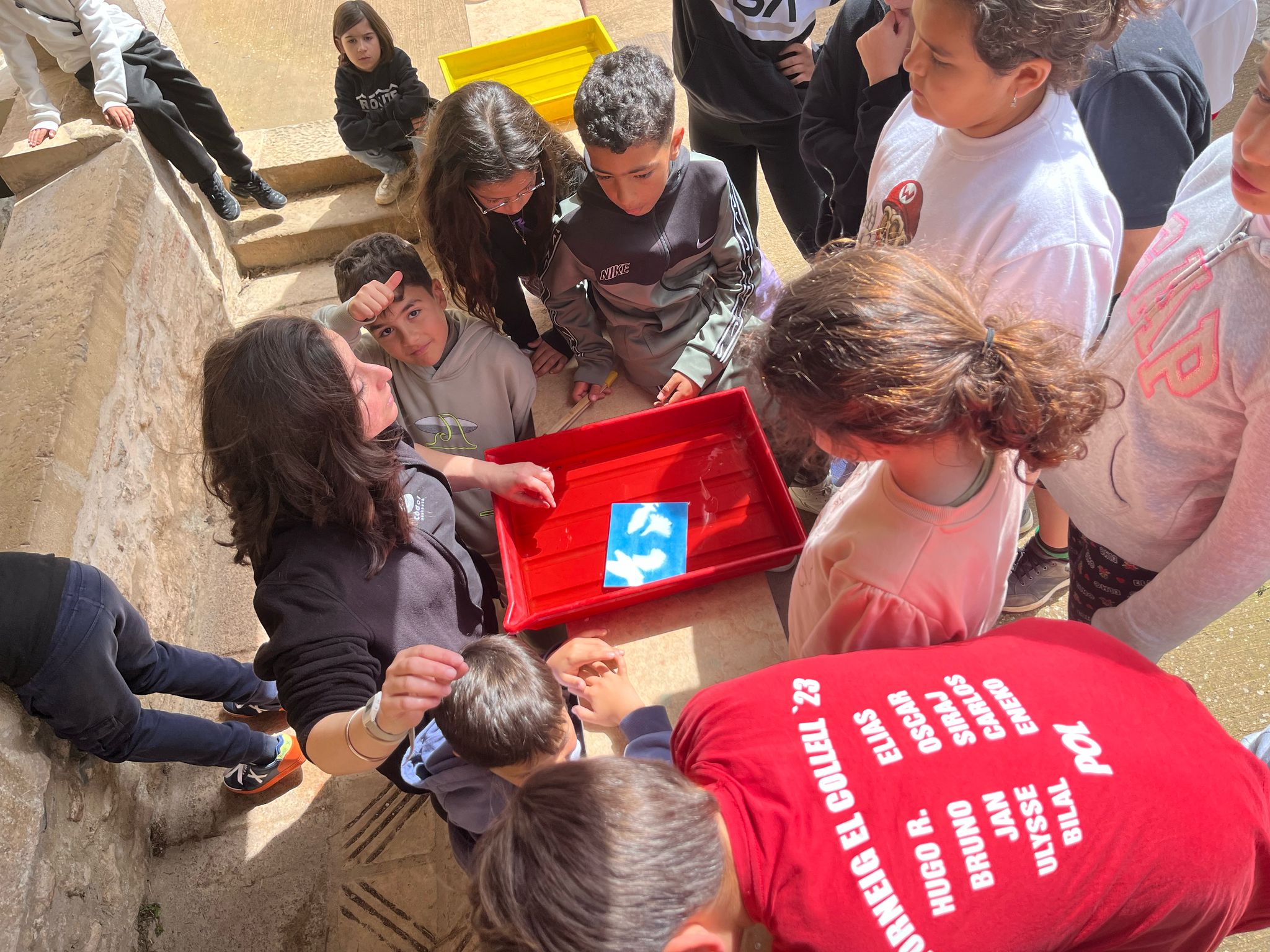 WhatsApp Image 2025-04-04 at 15.36.51 (1)