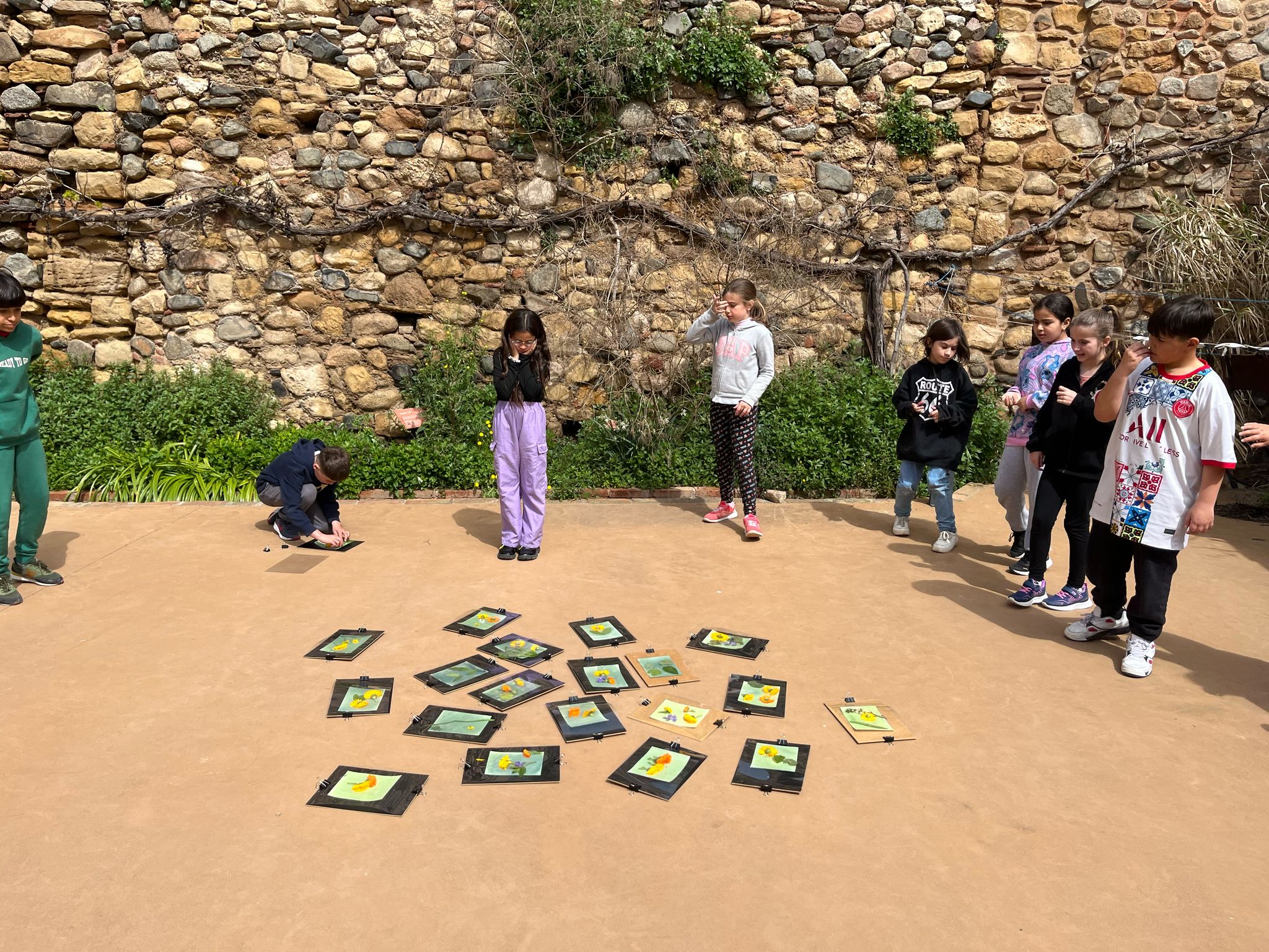 WhatsApp Image 2025-04-04 at 15.36.51