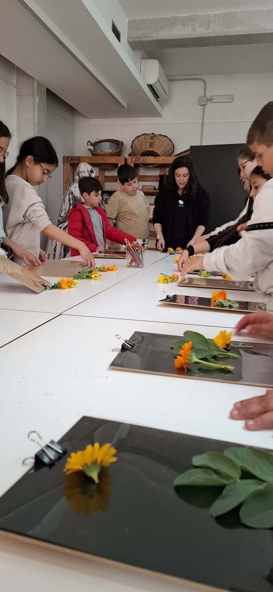 WhatsApp Image 2025-04-04 at 15.37.45 (1)