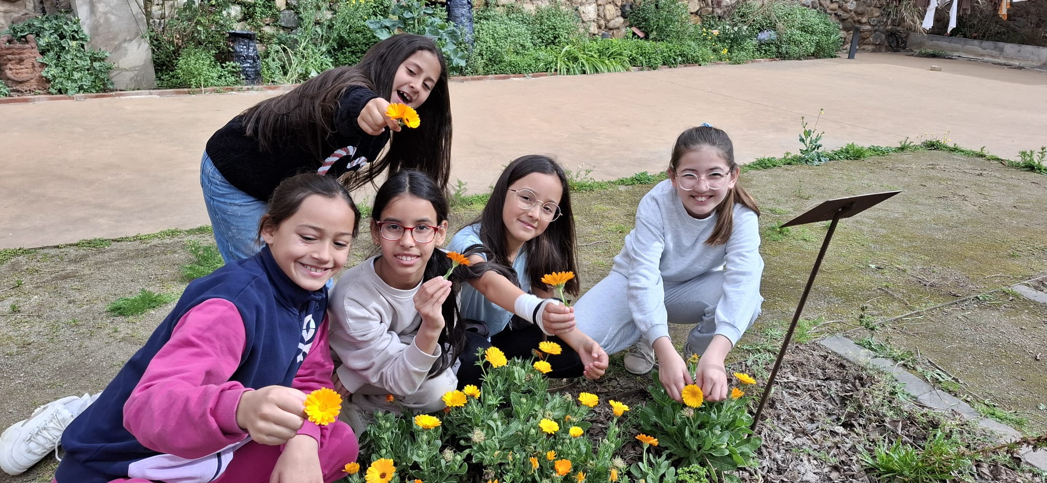 WhatsApp Image 2025-04-04 at 15.37.45