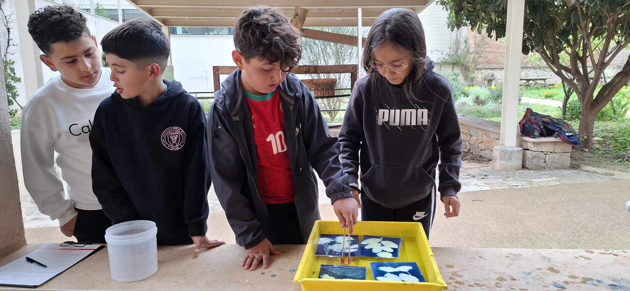 WhatsApp Image 2025-04-04 at 15.37.48