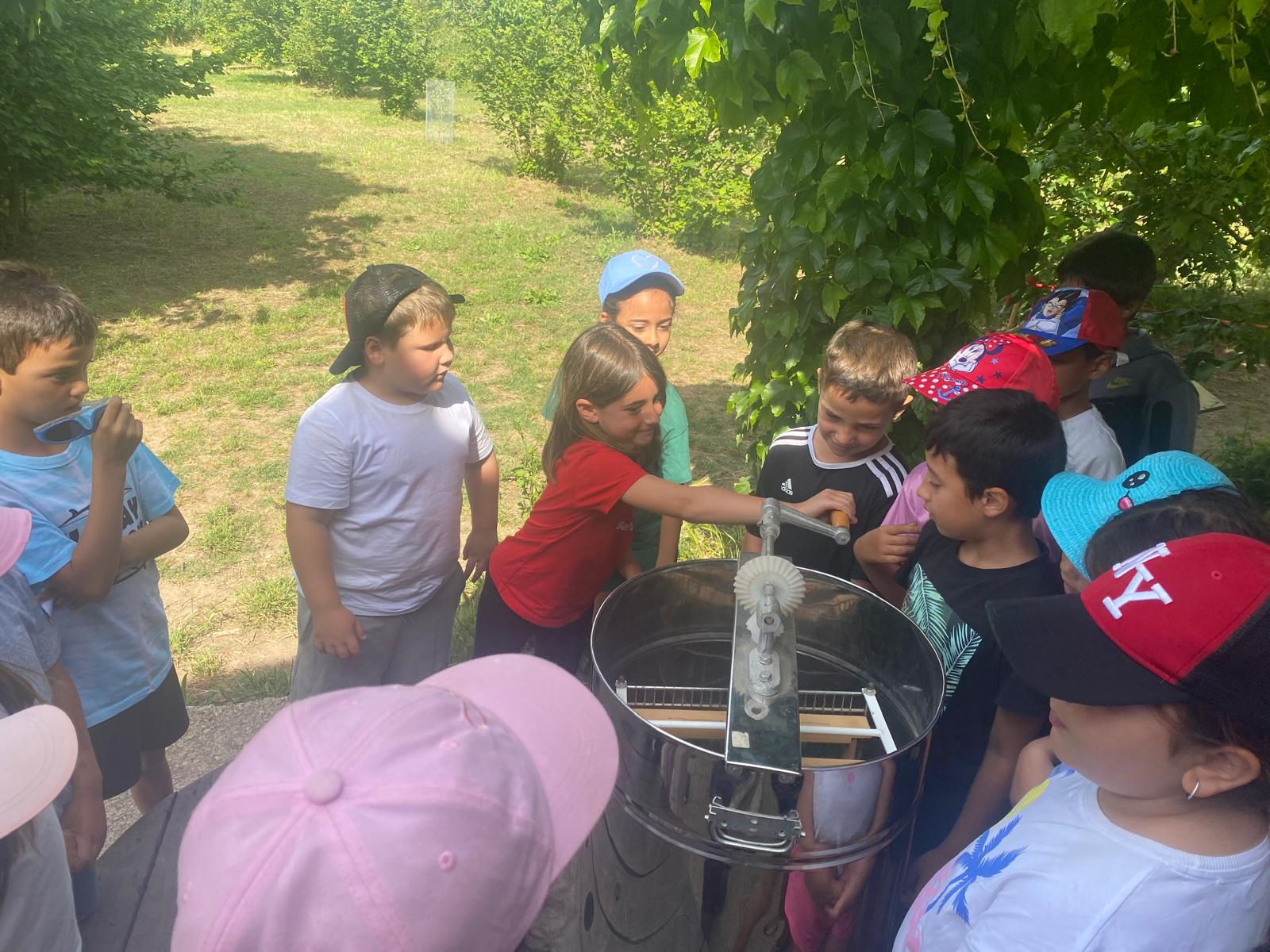 WhatsApp Image 2025-05-19 at 15.15.19