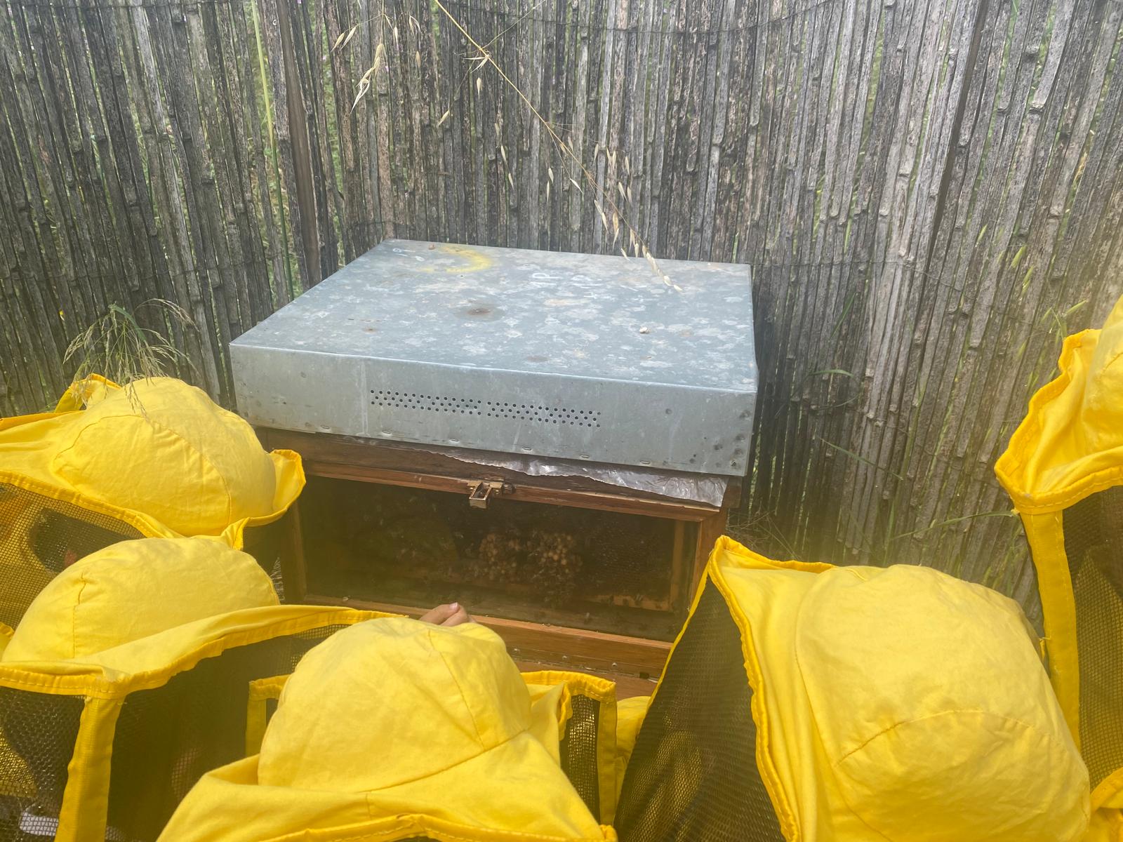 WhatsApp Image 2025-05-19 at 15.15.20 (1)