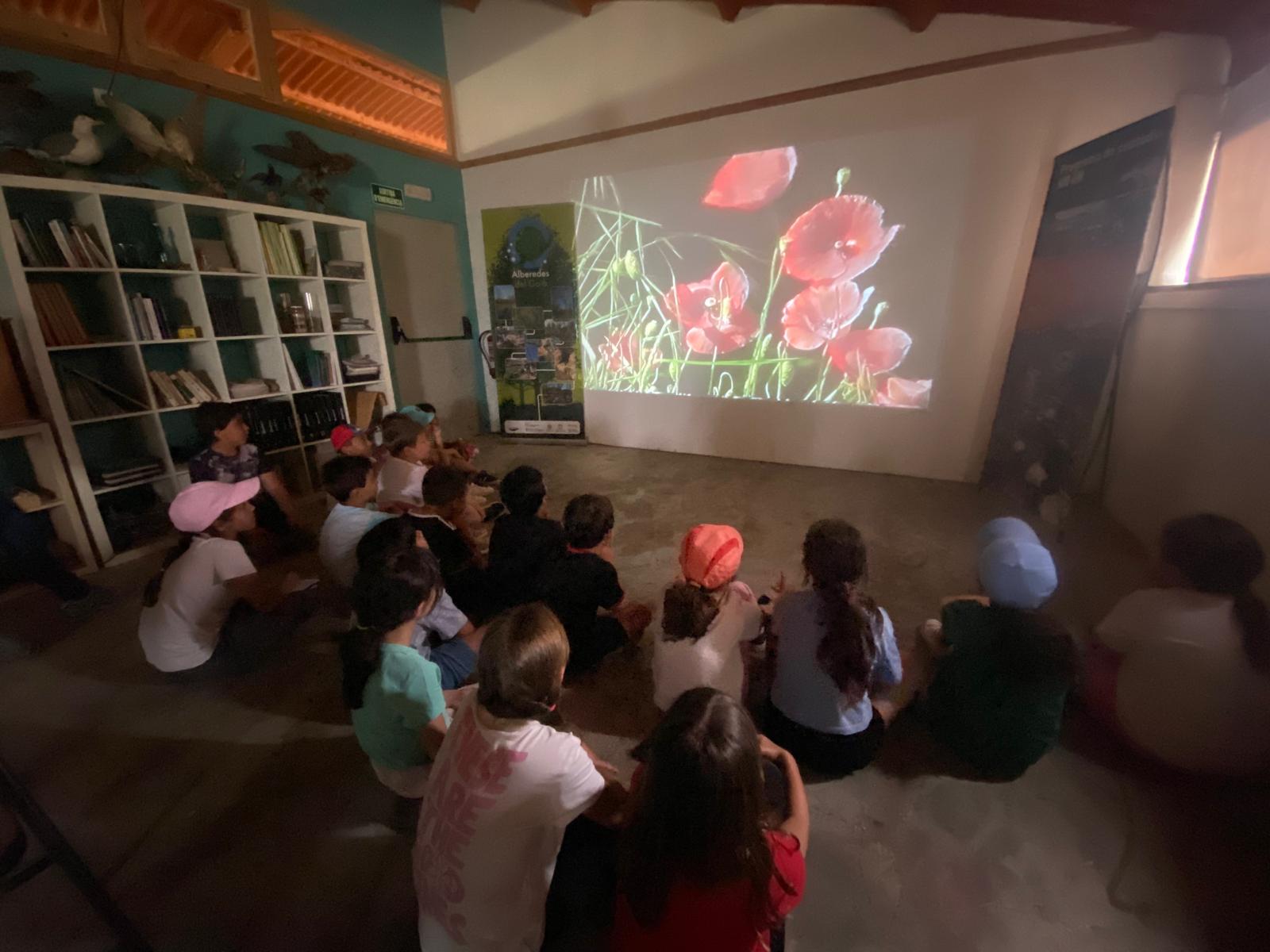 WhatsApp Image 2025-05-19 at 15.15.20