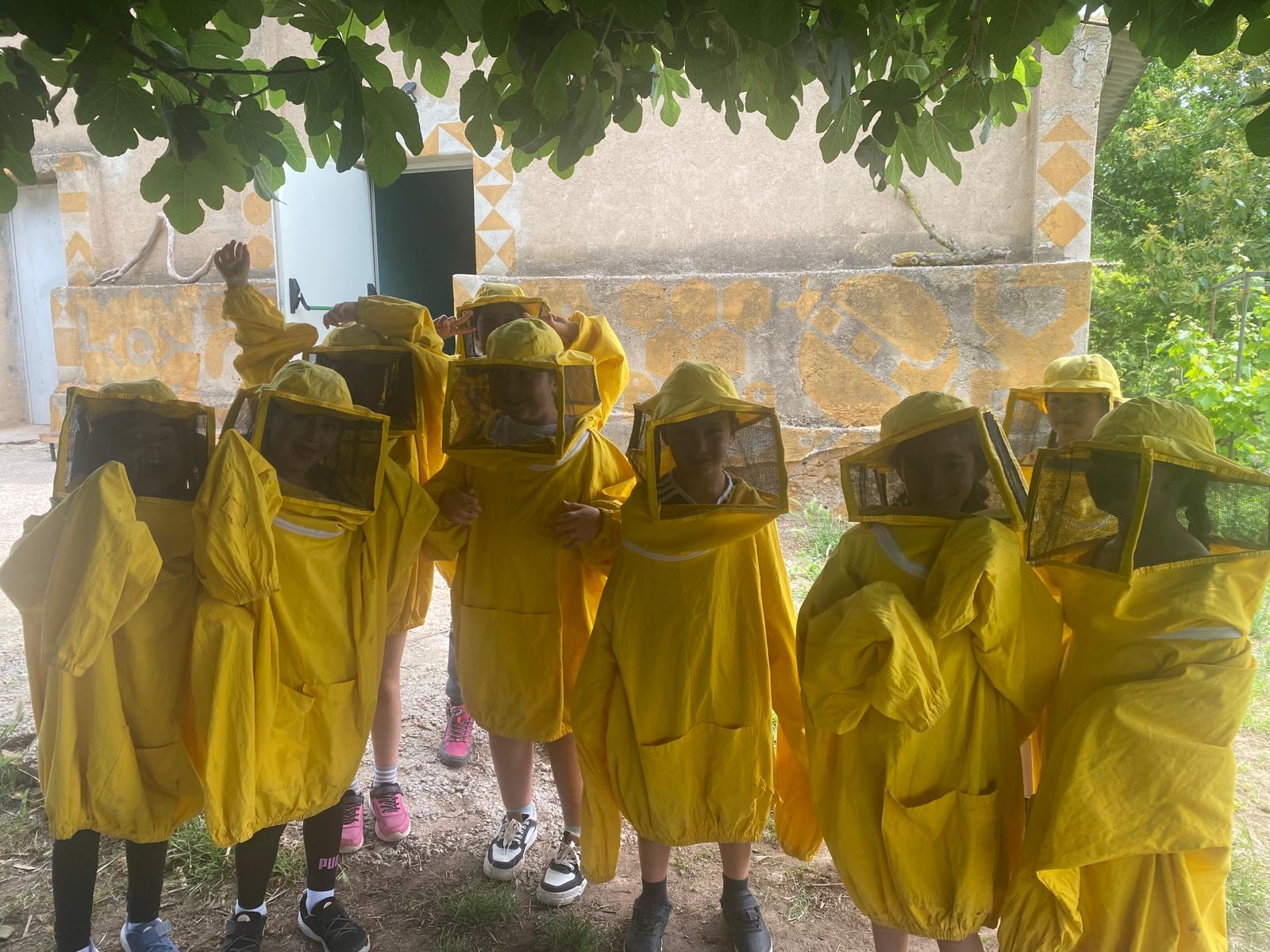 WhatsApp Image 2025-05-19 at 15.15.31