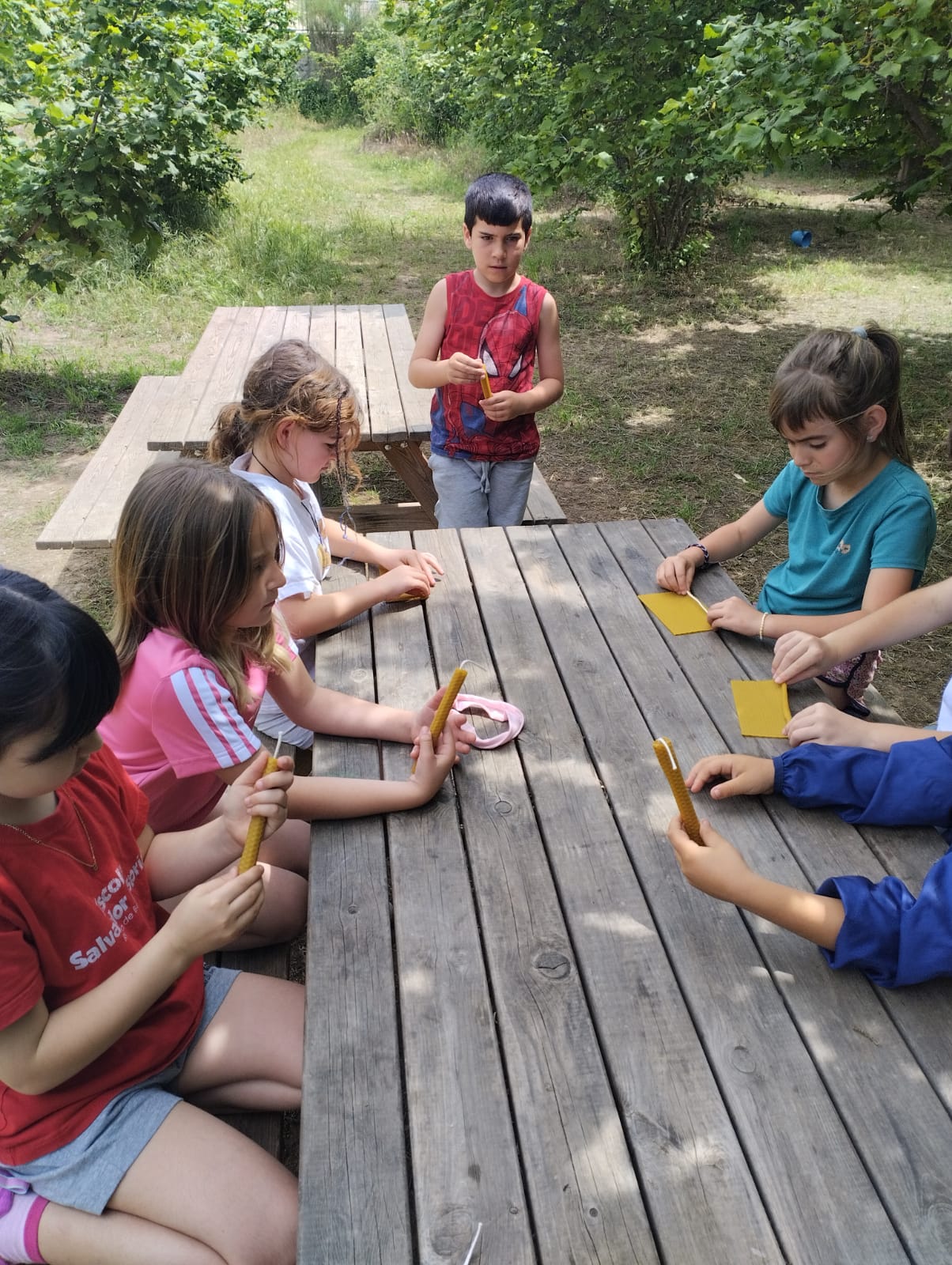 WhatsApp Image 2025-05-19 at 15.16.30