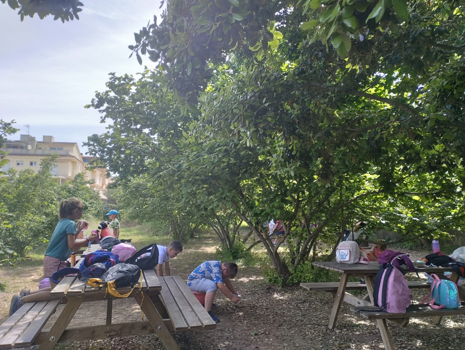 WhatsApp Image 2025-05-19 at 15.16.32