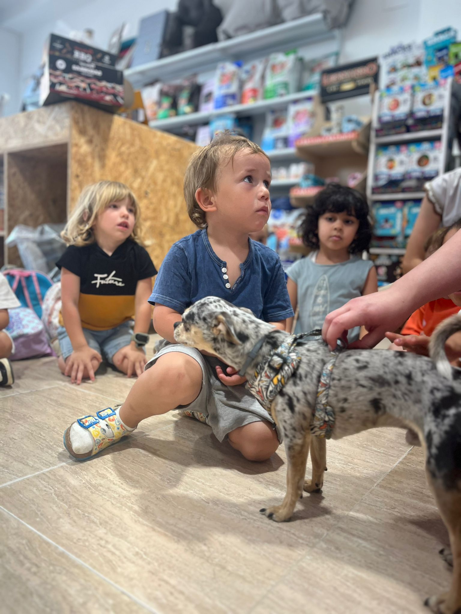 WhatsApp Image 2025-06-04 at 12.42.15