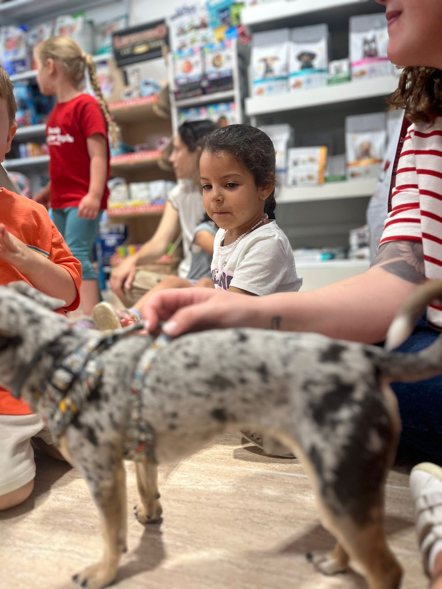 WhatsApp Image 2025-06-04 at 12.42.17