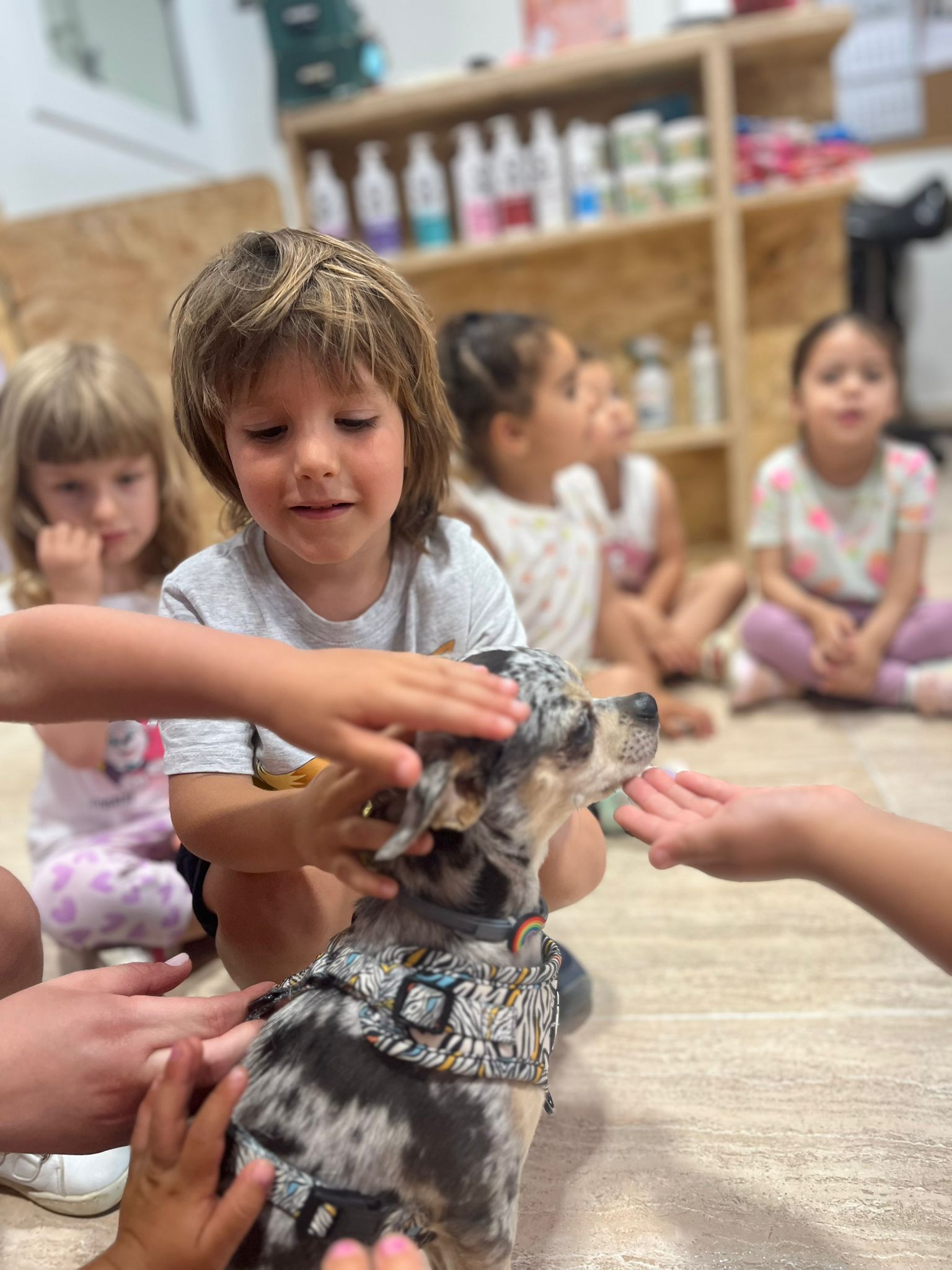 WhatsApp Image 2025-06-04 at 12.42.21