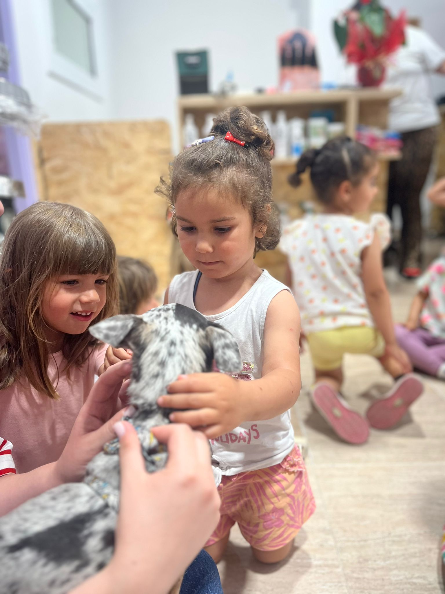 WhatsApp Image 2025-06-04 at 12.42.22 (1)