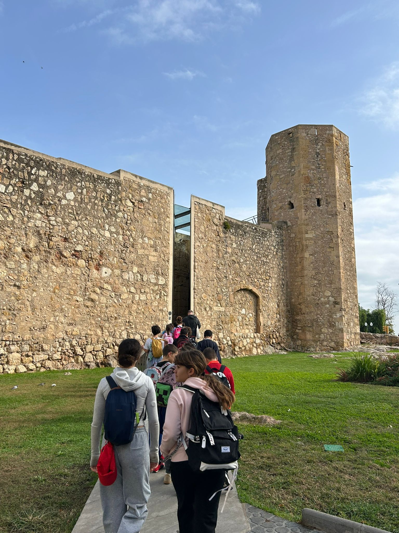 WhatsApp Image 2025-11-13 at 15.51.20