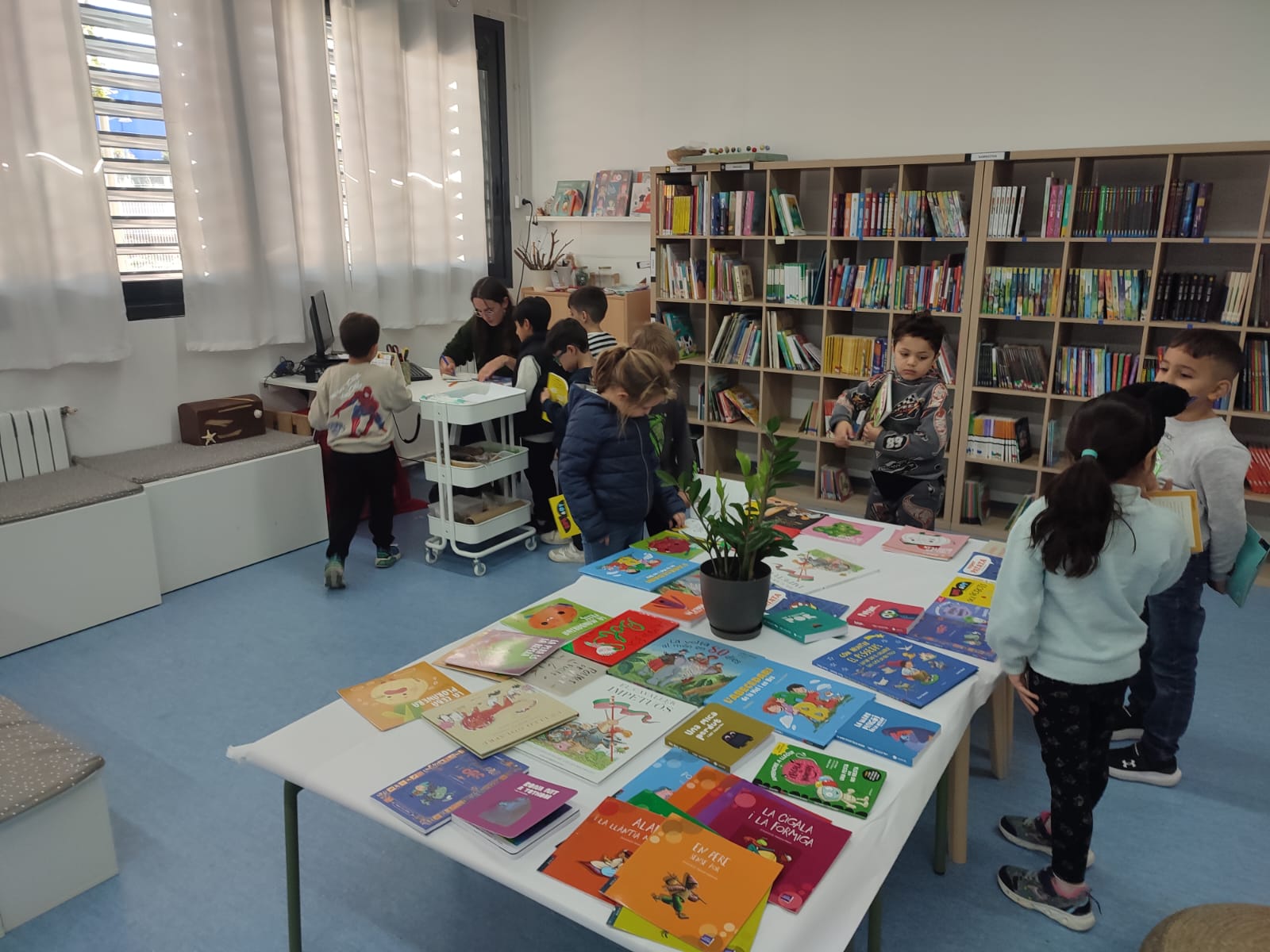 WhatsApp Image 2025-11-21 at 16.33.11