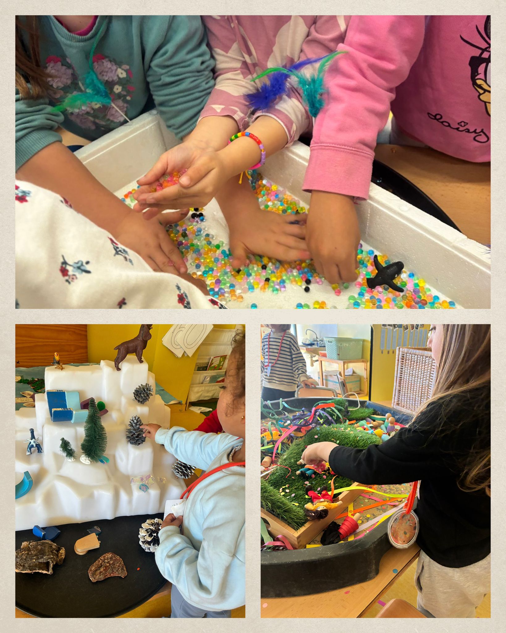 WhatsApp Image 2026-02-04 at 15.39.28 (2)