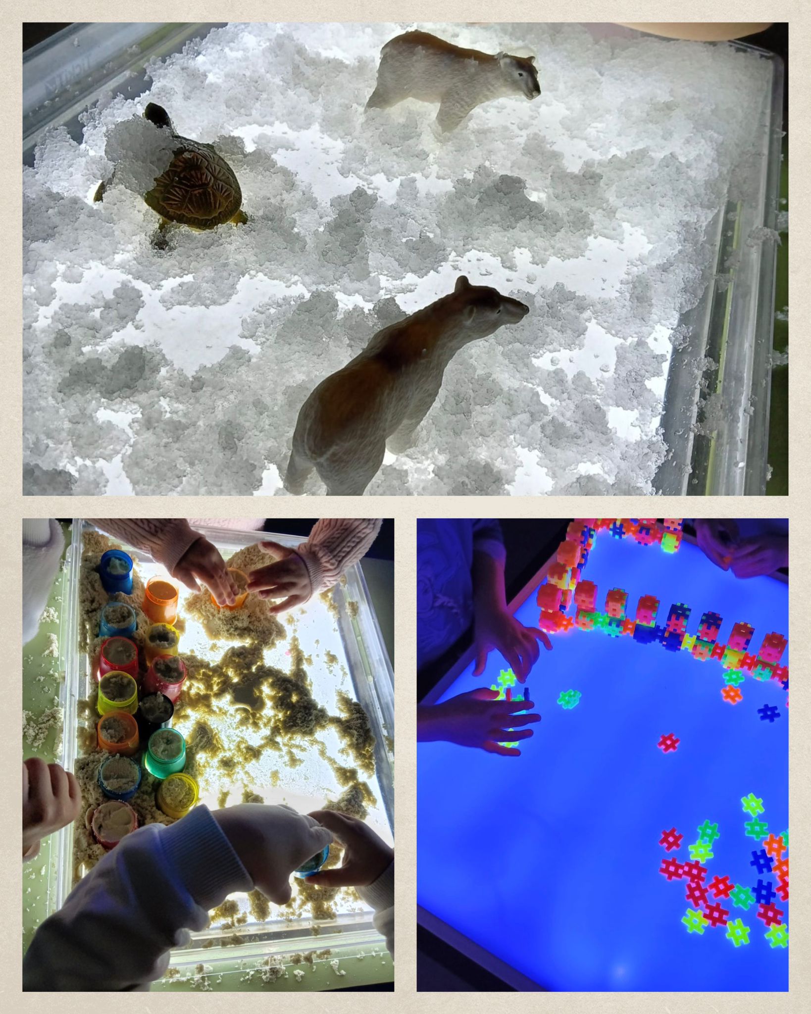 WhatsApp Image 2026-02-04 at 15.39.29