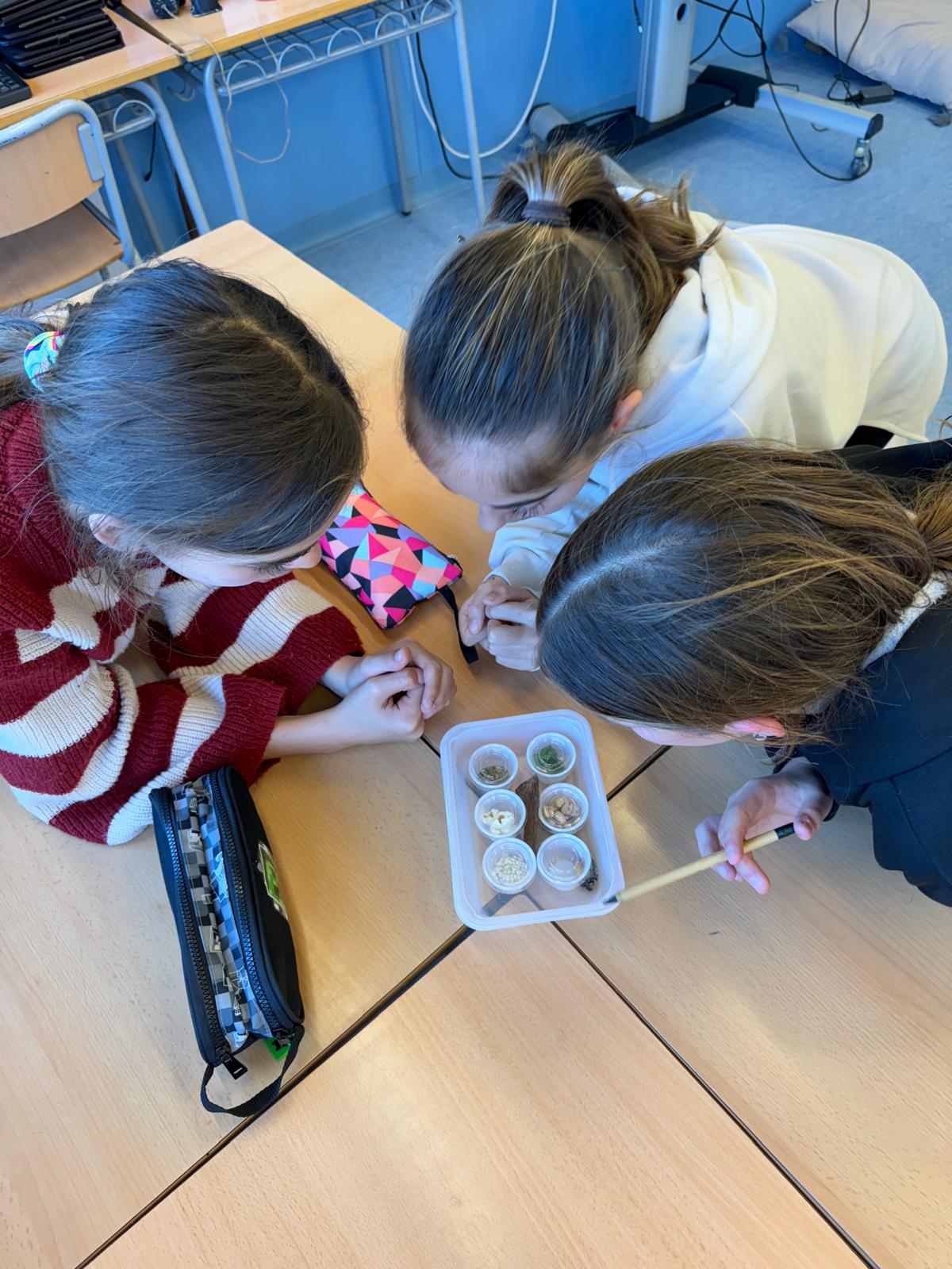 WhatsApp Image 2026-03-04 at 19.45.59 (1)