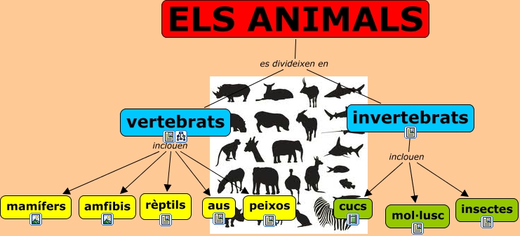EL REGNE ANIMAL