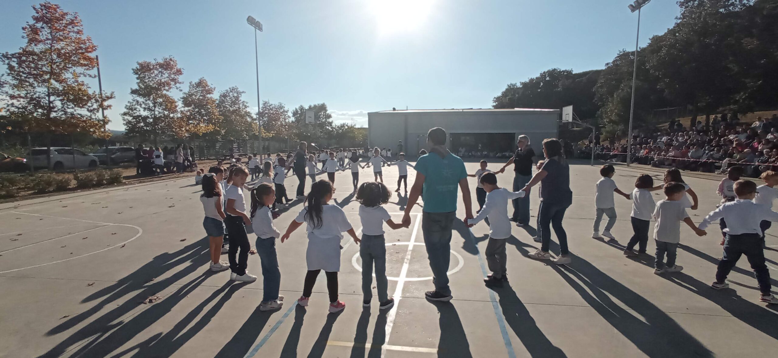 IMG_20251030_151840 - Còpia (2)