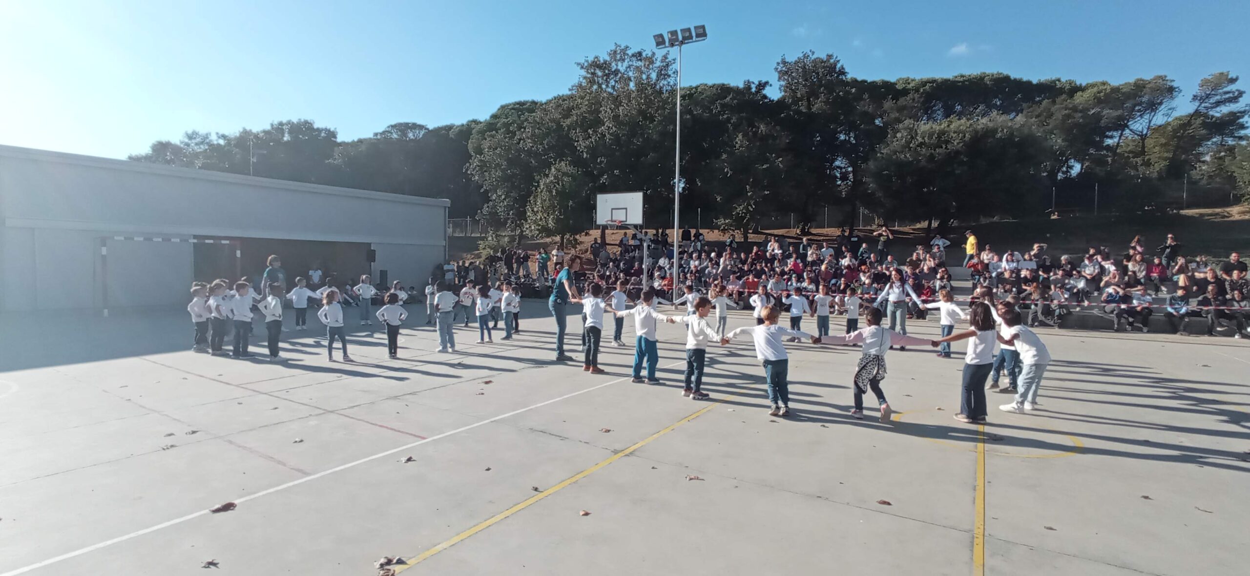 IMG_20251030_151925 - Còpia (2)