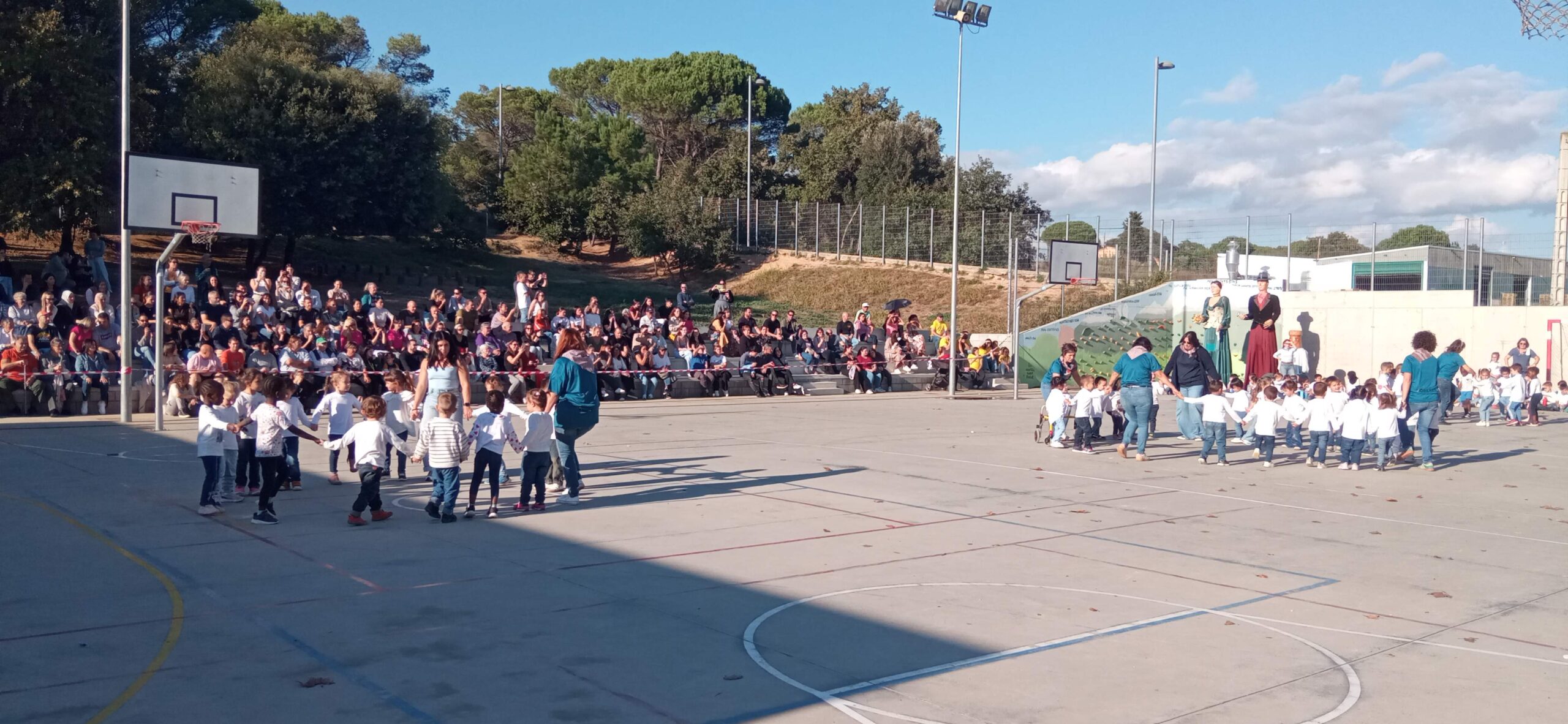 IMG_20251030_152842 - Còpia (2)