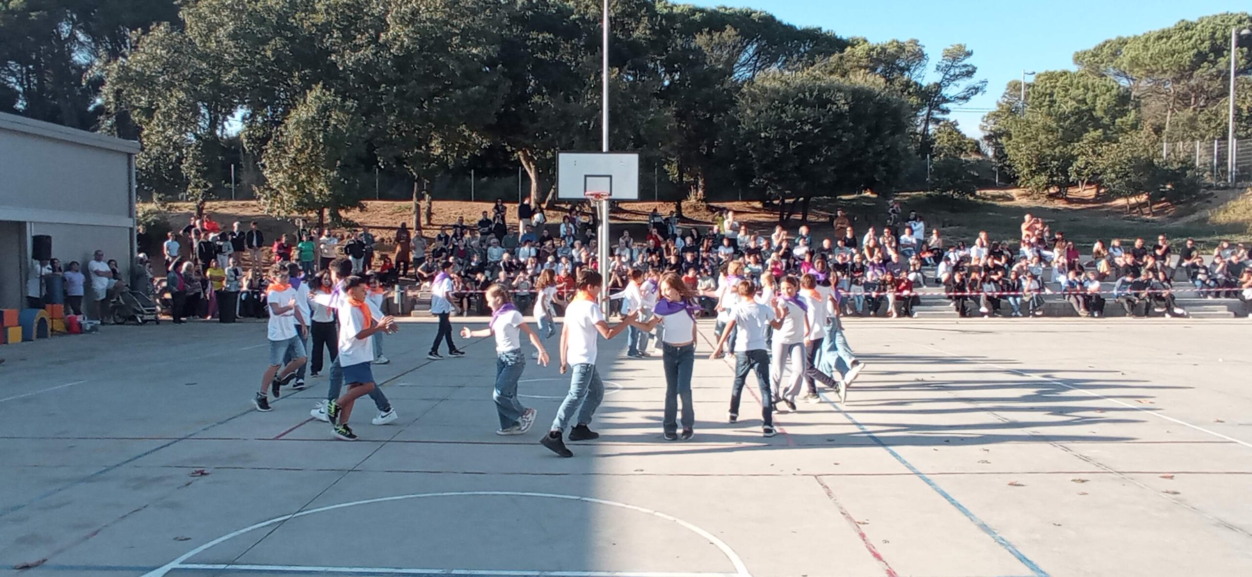 IMG_20251030_154002 - Còpia (2)