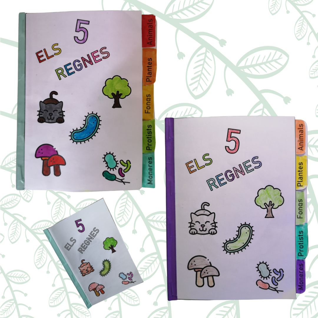 TREBALLEM ELS 5 REGNES! | Escola Sant Marc