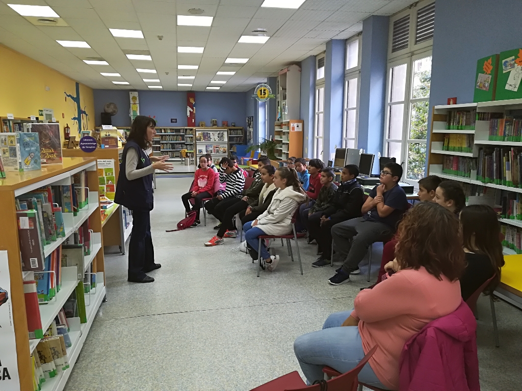 IMG_20181121_100521_1024x768