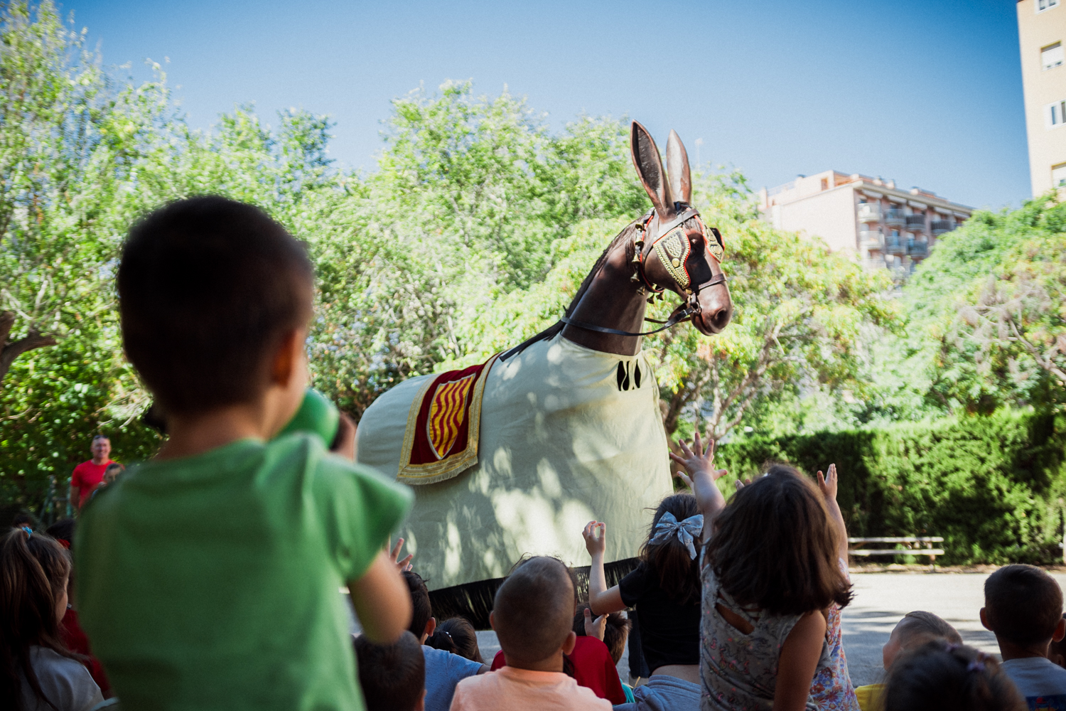 ST24-MulassaEscoles-LOW-15-06452