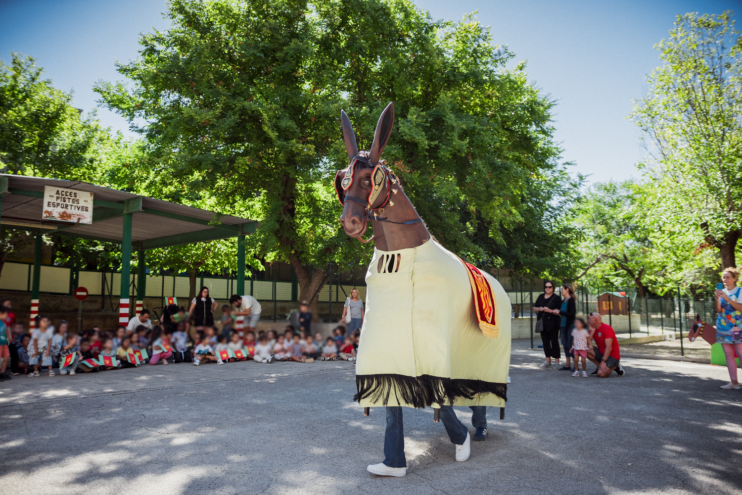 ST24-MulassaEscoles-LOW-16-06493