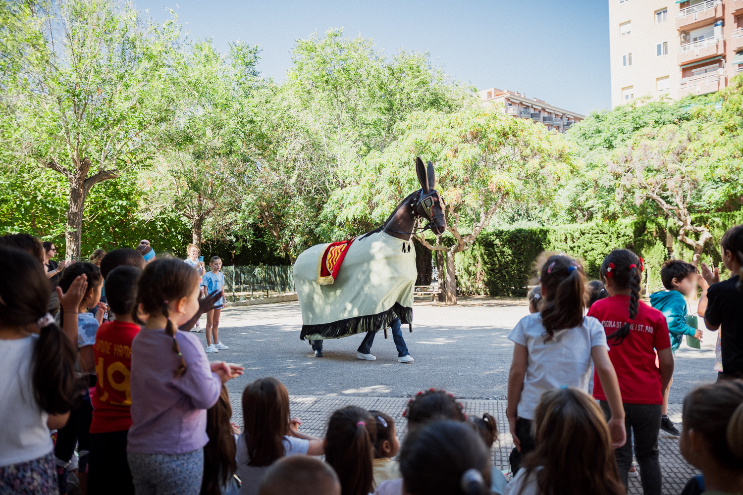 ST24-MulassaEscoles-LOW-17-06535