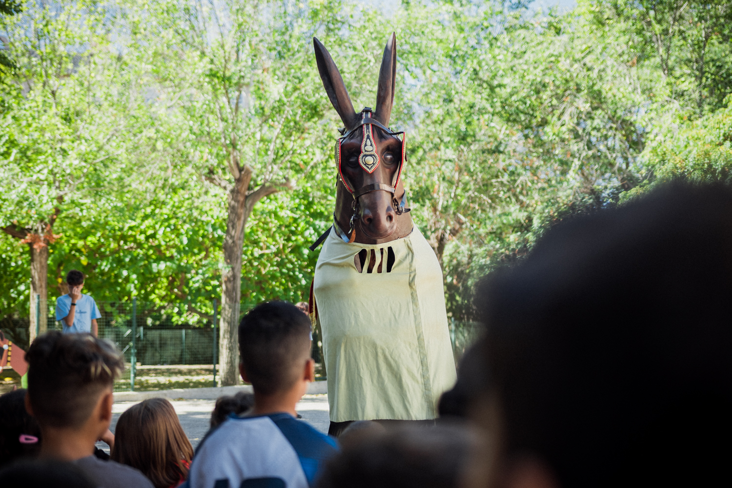 ST24-MulassaEscoles-LOW-22-06652