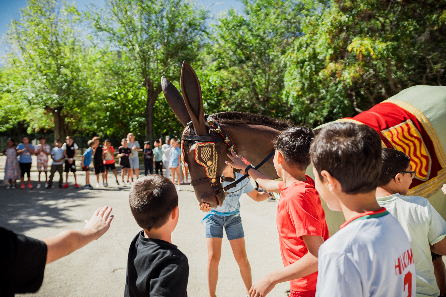 ST24-MulassaEscoles-LOW-24-06667